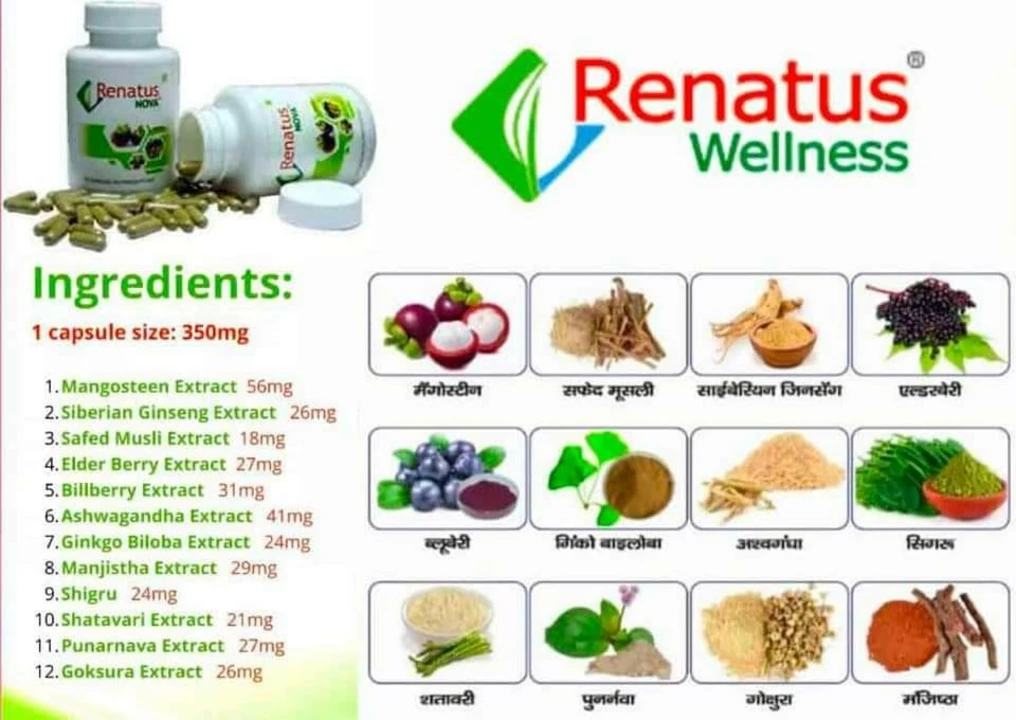 Factory Store Images of Renatus wellness Pvt Ltd 