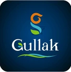 Business logo of Shree Gullak Silk