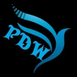 Business logo of Pdw men's garment