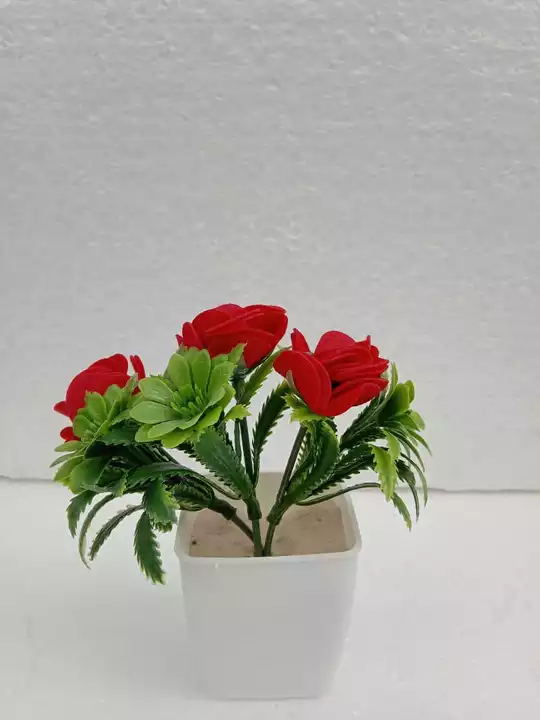 Mini rose sadabhar  uploaded by Floral fantasy Aj  on 8/6/2022