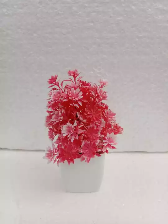 Mini bonsai  uploaded by Floral fantasy Aj  on 8/6/2022