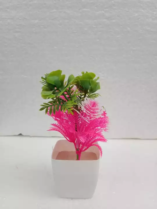 Mini bonsai uploaded by Floral fantasy Aj  on 8/6/2022