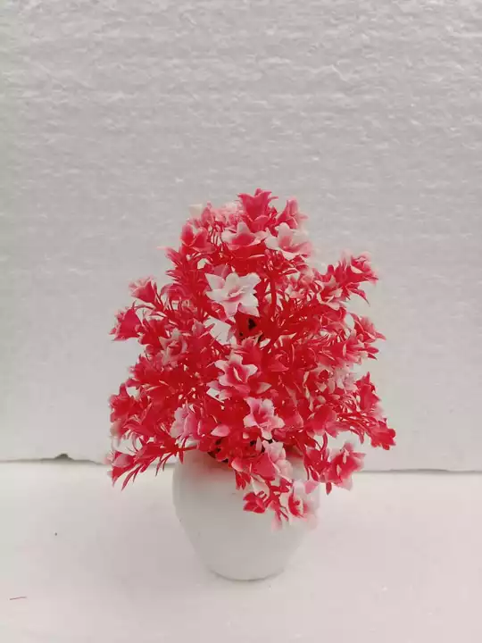 Mini bonsai uploaded by Floral fantasy Aj  on 8/6/2022
