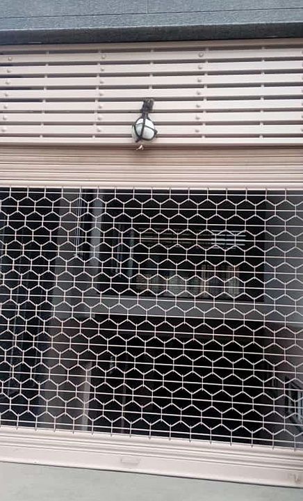 Grill rolling shutter uploaded by business on 11/22/2020