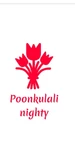 Business logo of Sree poonkulali nighty