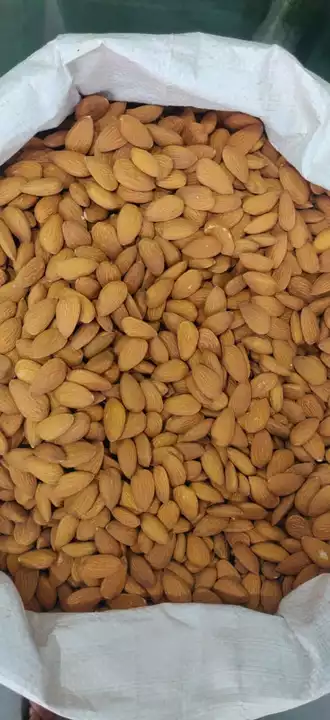 Almond  uploaded by Virat Dryfruits and Spices on 8/10/2022