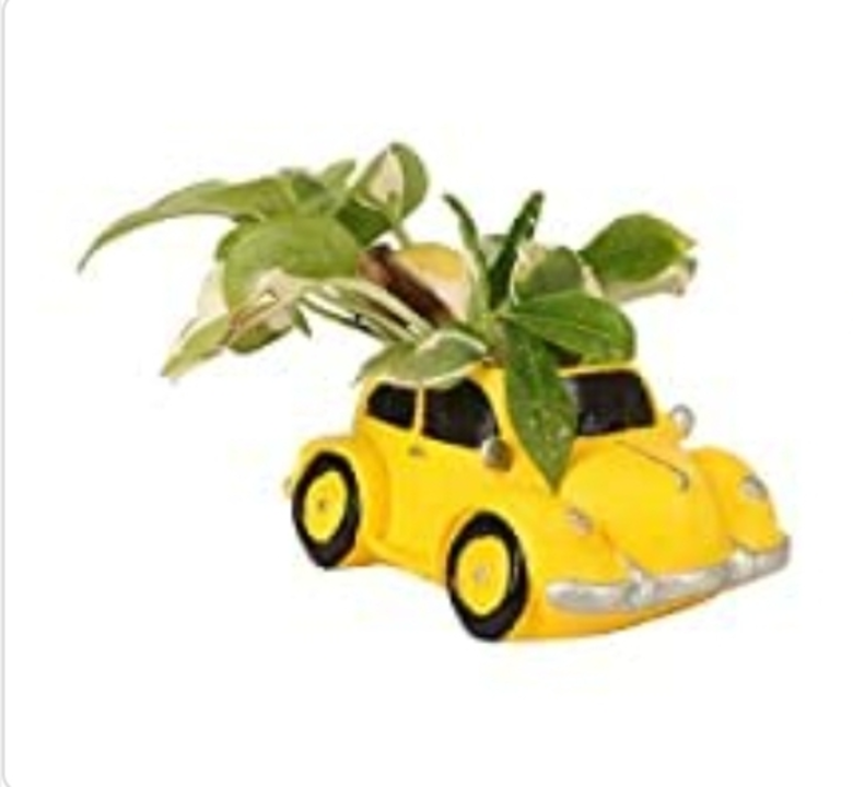 Yellow car planter uploaded by Mandora Creations on 8/12/2022