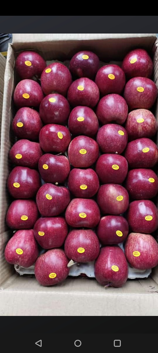 Product uploaded by Fruit merchant on 8/13/2022