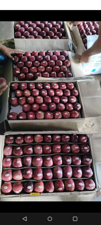 Product uploaded by Fruit merchant on 8/13/2022