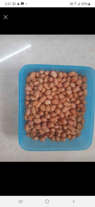 Groundnut  uploaded by business on 8/14/2022