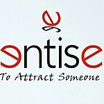 Business logo of entise