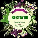 Business logo of Bestayur Lifecare 