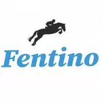 Business logo of Fentino Fabrics