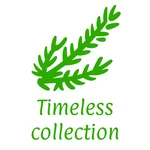Business logo of Timeless collection