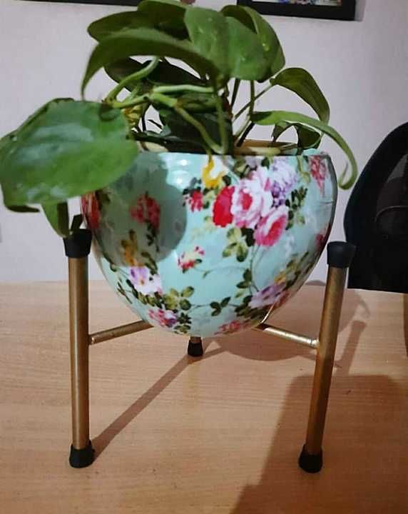 Beautiful planter for you home, 
To make your home more catchy and attractive.  uploaded by business on 11/26/2020