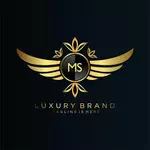 Business logo of MS Collection
