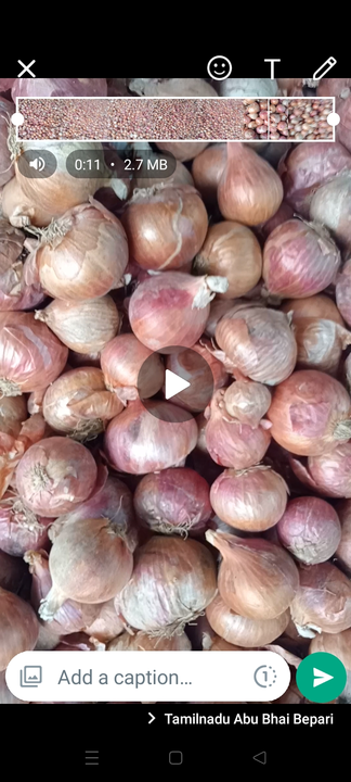 Onion 🧅 uploaded by business on 8/20/2022