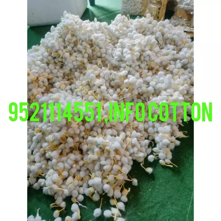 Post image Cotton wicked machine and Raw material Available COD Available