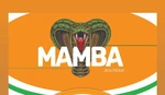Business logo of Mamba
