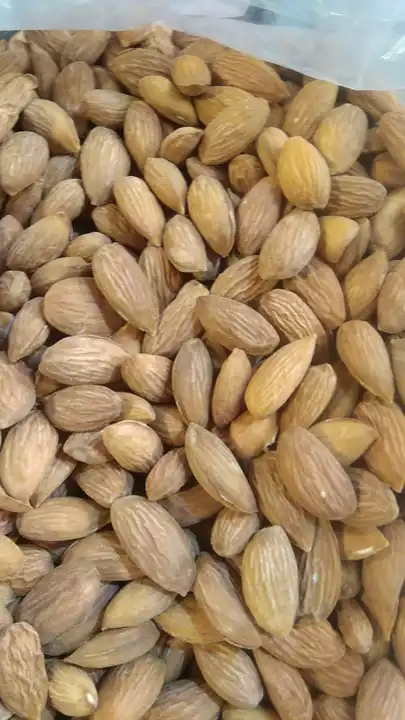 Kashmiri mamra almonds uploaded by business on 8/26/2022