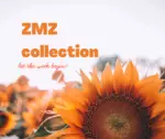 Business logo of Zmz collection