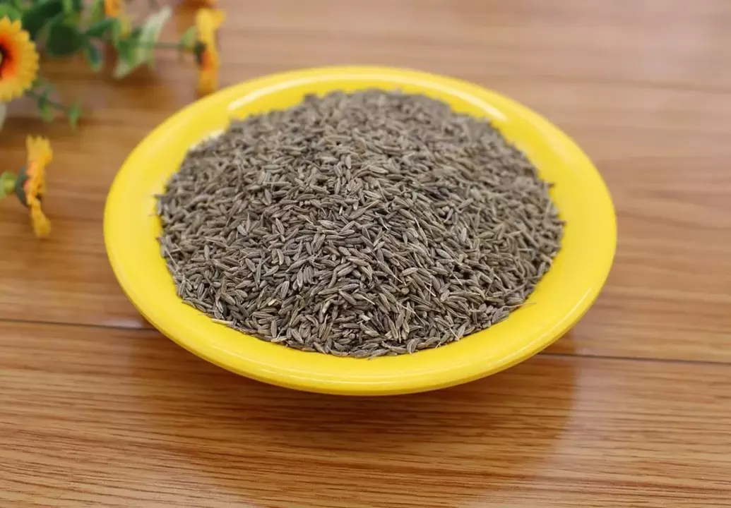 Cumin seed uploaded by JR Agri on 8/30/2022