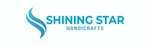 Business logo of Shining star