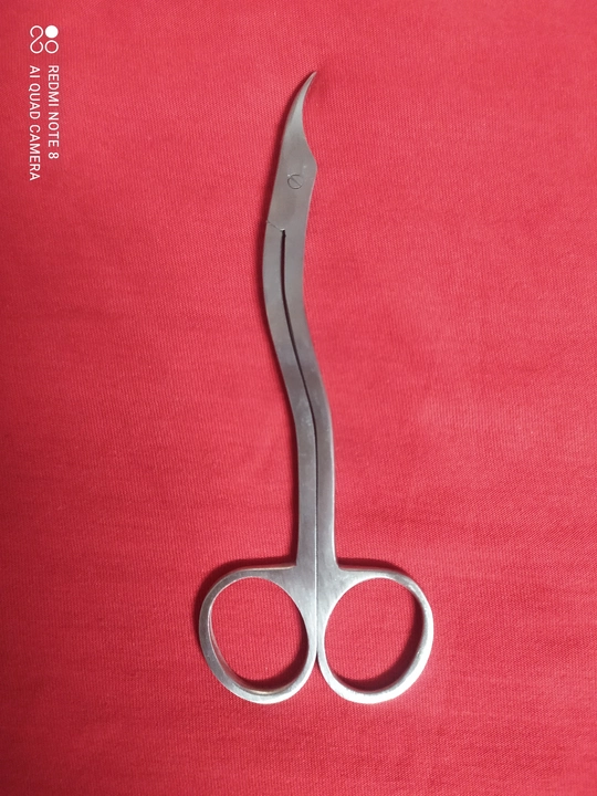 Suture Scissor Flat uploaded by business on 9/1/2022