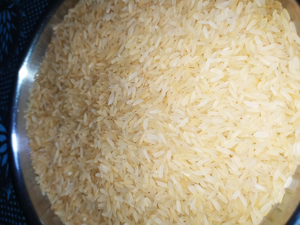 Rice uploaded by business on 9/4/2022