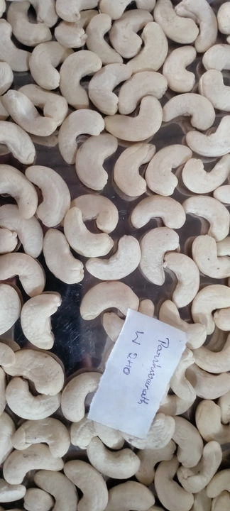W240 uploaded by Shree parshwanath cashew industry's on 9/4/2022