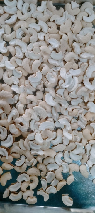 K1 uploaded by Shree parshwanath cashew industry's on 9/4/2022