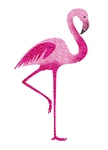 Business logo of Flamingo Fashions