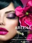 Business logo of Areena collection