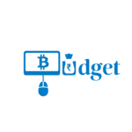 Business logo of Budget Computers