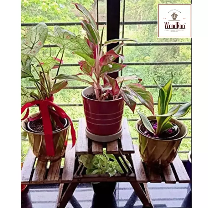 [9/7, 6:59 AM] akashjaiswal02355: Name : WoodRon Handcrafted Plant Stand 3 Tier Foldable Flower Pot  uploaded by business on 9/7/2022