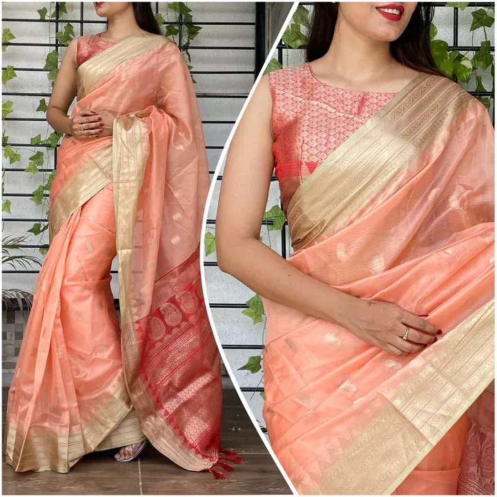 Lizaa Saree uploaded by business on 9/7/2022