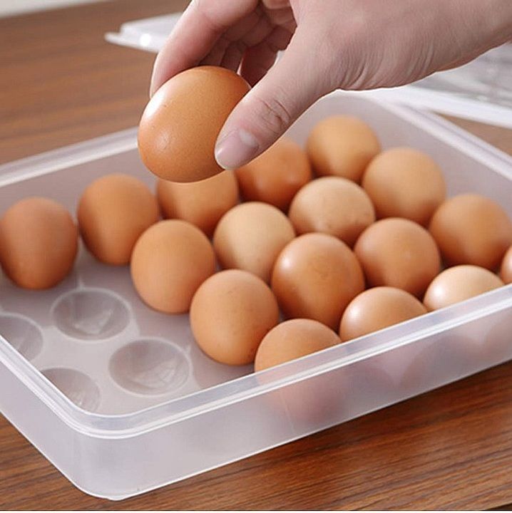24 Grid Clear Egg Box

 uploaded by Wholestock on 12/10/2020
