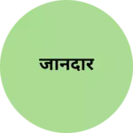 Business logo of जानदार