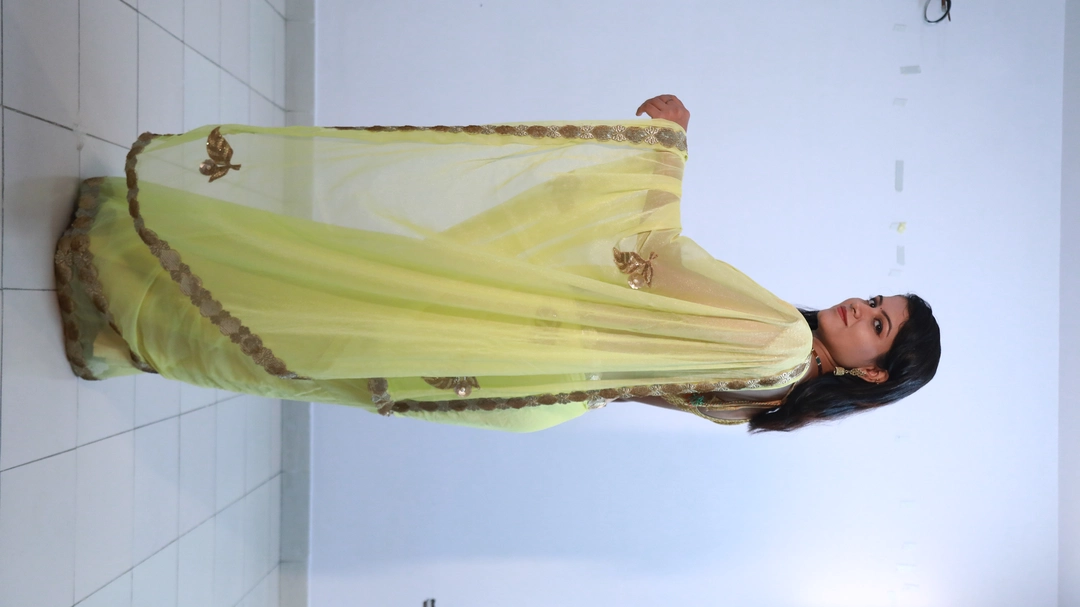 Designer chiffon shimmer saree uploaded by Elitejivisha on 9/12/2022