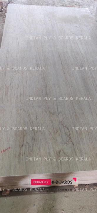 SEMI HARDWOOD PLYWOODS uploaded by Indian ply & boards on 9/13/2022