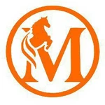 Business logo of mithilanchal global