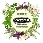 Business logo of Victor pharma