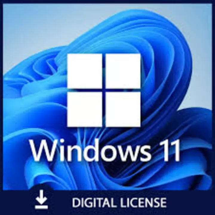 Windows 11Pro 32x & 64x Digital Key Lifetime Validity  uploaded by PRAMAY IT Services on 9/16/2022