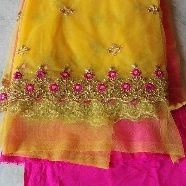 Beautiful net embroidery saree uploaded by @cooldesigns143 on 12/19/2020