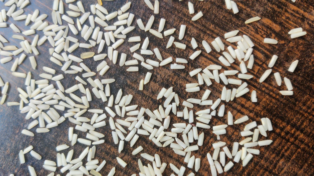 1401 Tibar basmati rice  uploaded by business on 9/17/2022