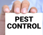 Business logo of Indian Pest Control Service 