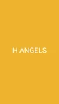 Business logo of H angles