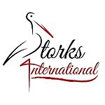 Business logo of Storks 