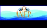 Business logo of Aner fashion