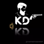 Business logo of Kd silecen